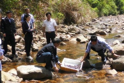 證據(jù)保全,助力大鯢在資溪 “安家”