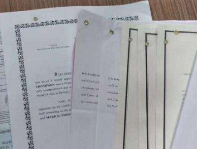 獨居老人指定好友成其監(jiān)護人
