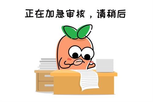海牙認(rèn)證能加急辦理嗎