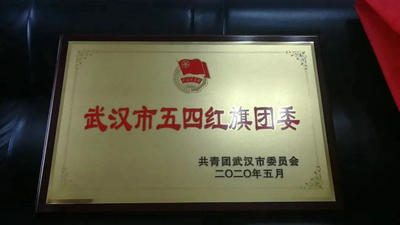 武漢市五四紅旗團委