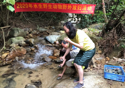 野生動物放歸活動
