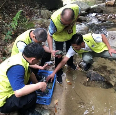 野生動物放歸活動