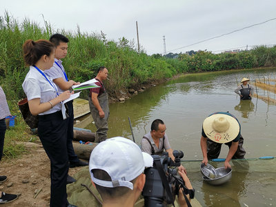 公證增殖放流