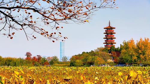 徐州市有外交部認(rèn)證處嗎？