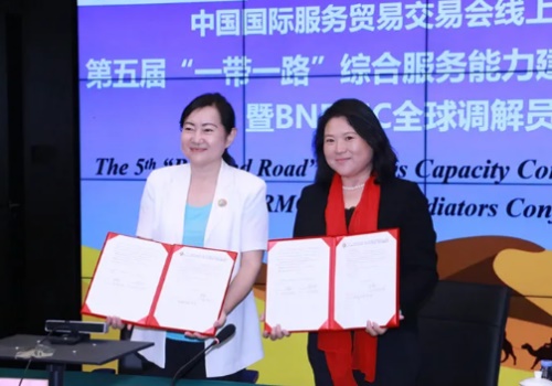 綜合服務(wù)能力建設(shè)論壇（2020）暨BNRMC全球調(diào)解員大會(huì)02
