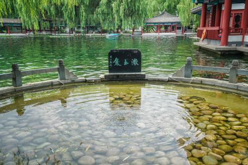濟南辦親屬關系公證要多少錢？