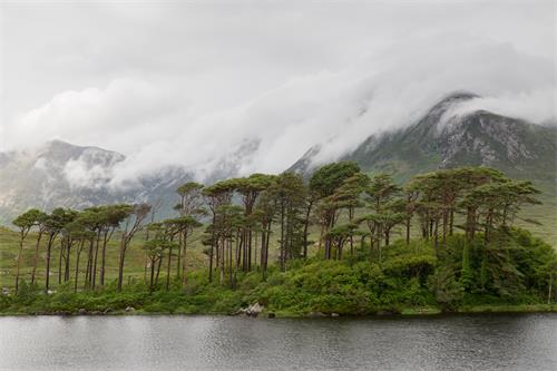 愛(ài)爾蘭駐華大使館學(xué)歷認(rèn)證的流程是什么？