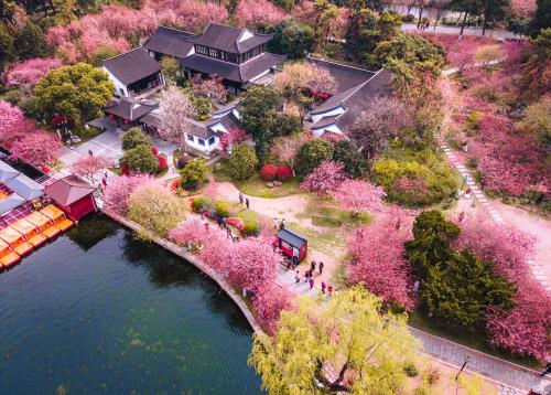 南京成績單應(yīng)該到哪里公證？
