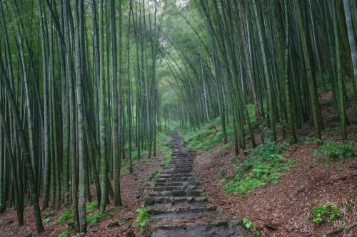 紹興親屬關(guān)系公證認(rèn)證哪里可以辦？