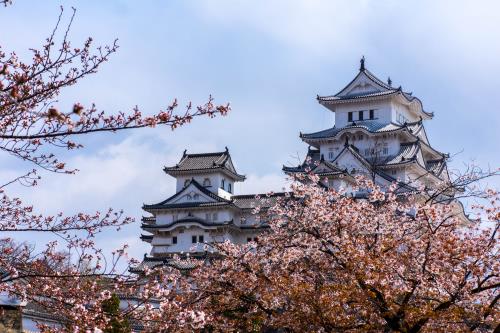 日本駐華大使館可以辦理公證認證嗎？