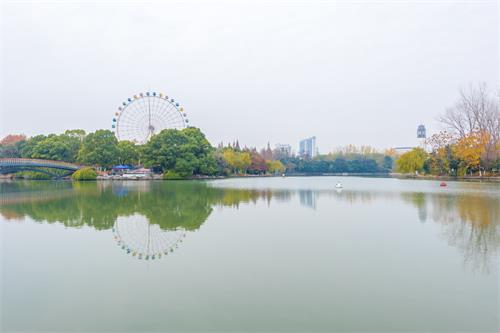 合肥地區(qū)的公證處可以本人不到場(chǎng)辦理嗎？